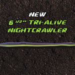 Slider Image Promoting New Product